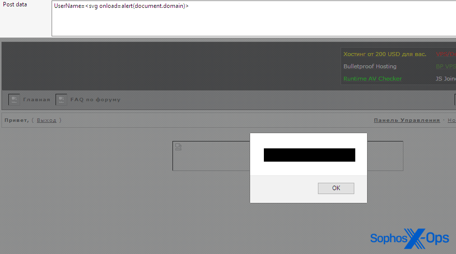 Exploit の偽サイトに対して XSS 攻撃を行い,ポップアップダイアログを表示させた例