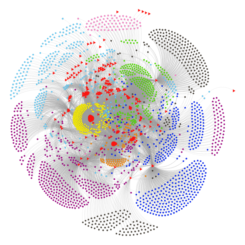 A chart showing groupings actors in threat networks, color-coded by communities of interest
