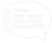 gartner-peer-2025