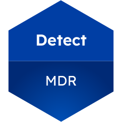 detect