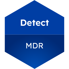 detect detect