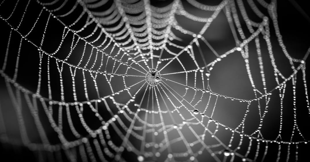 darkmarket