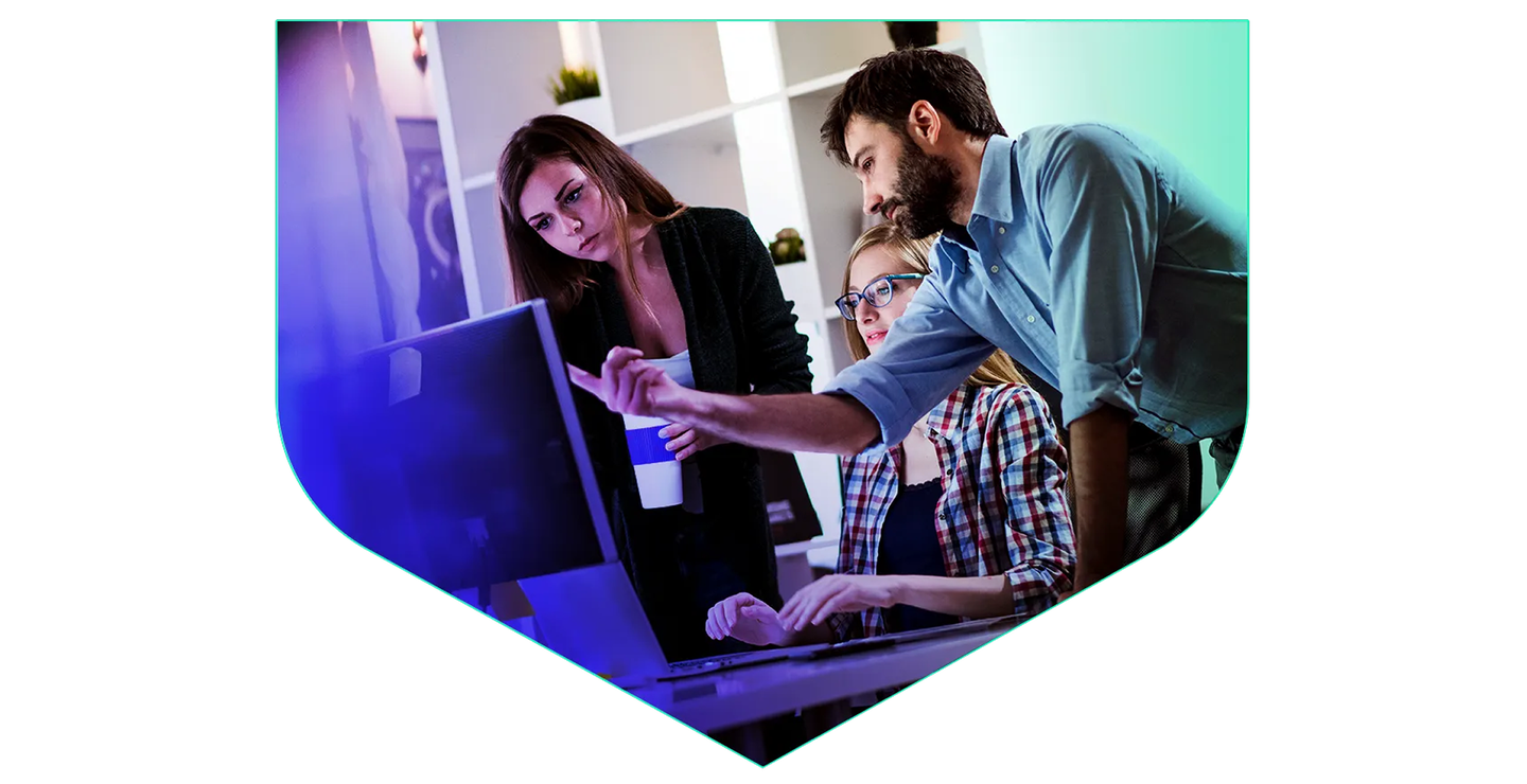 Professional Services