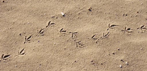 Step by step Image Step by step Image