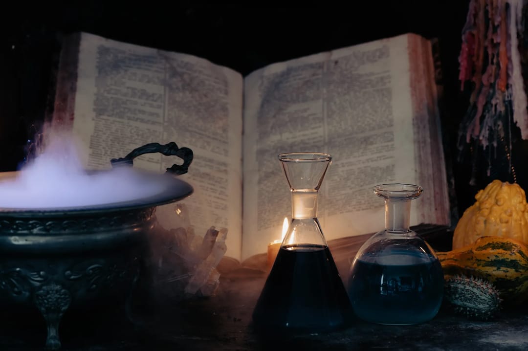 GOLD SALEM tradecraft for deploying Warlock ransomware
