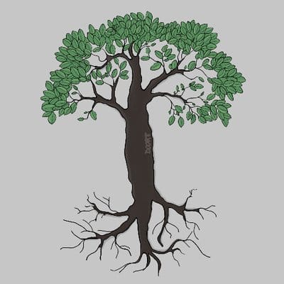 Markel Picado Markel Picado