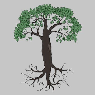 Markel Picado Markel Picado