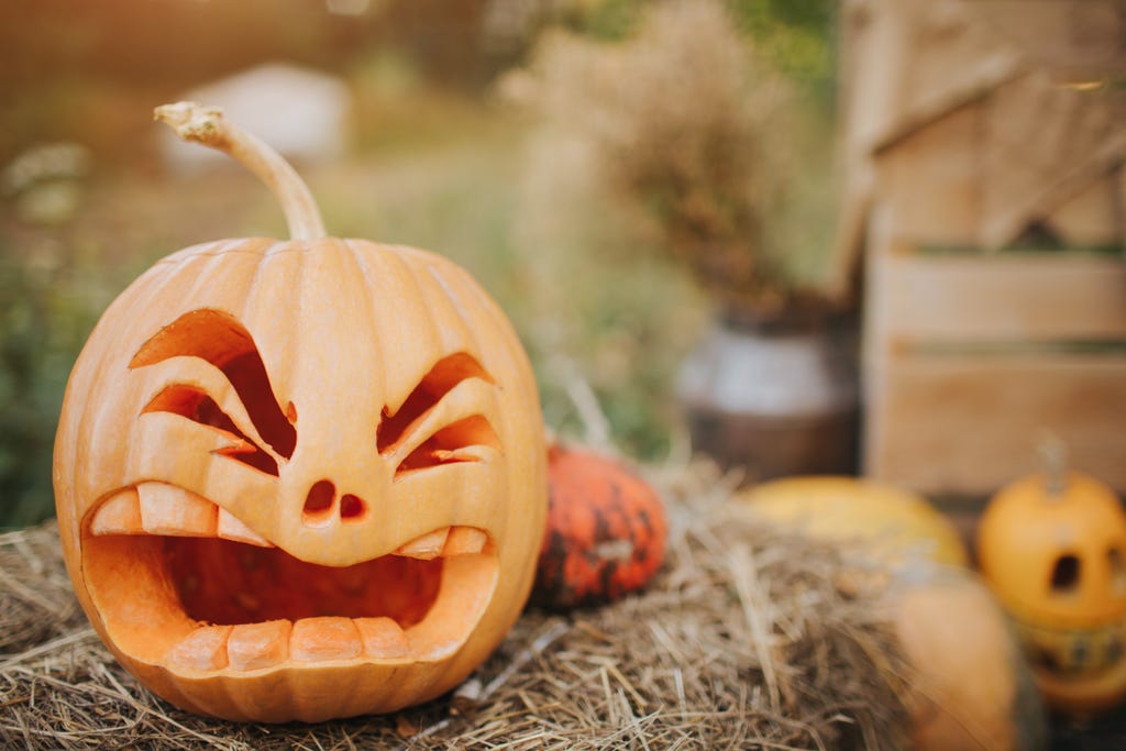 2310 hero image 2310 hero image