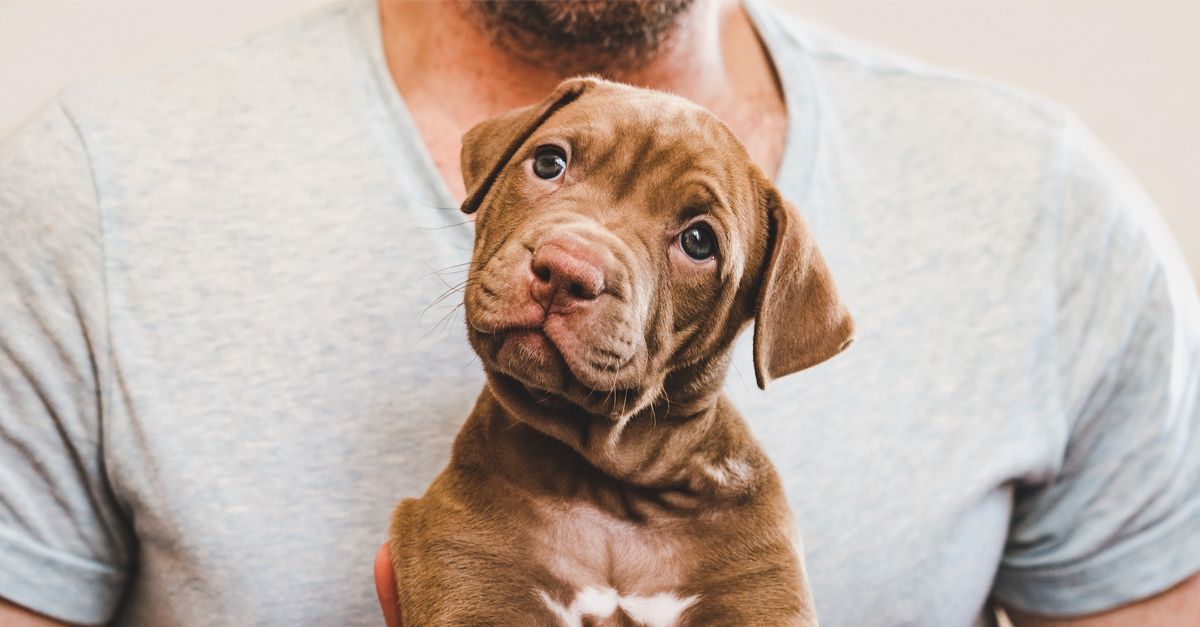 shutterstock_1499224223-compressor