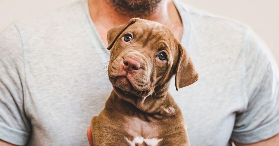 shutterstock_1499224223-compressor