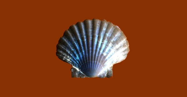 Log4Shell explained – how it works, why you need to know, and how to fix it Log4Shell explained – how it works, why you need to know, and how to fix it