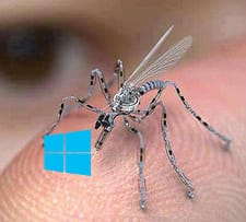 patch-mosquito-tuesday patch-mosquito-tuesday