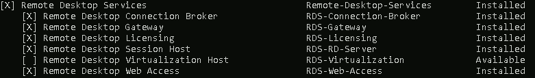 Esempio di ruoli installati su un host Remote Desktop Services (RDS) esposto