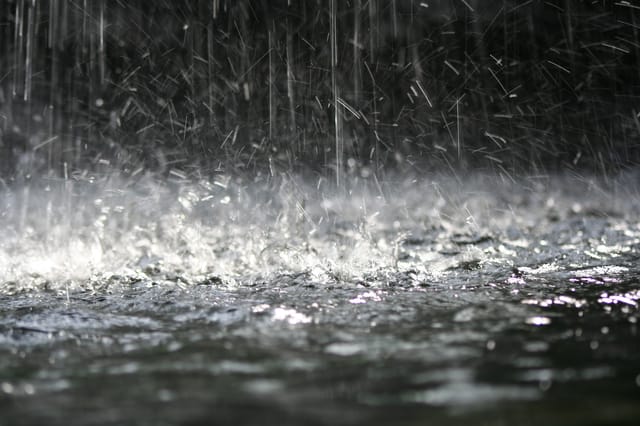 A November rain of patches from Microsoft A November rain of patches from Microsoft