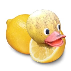 lemonduck lemonduck