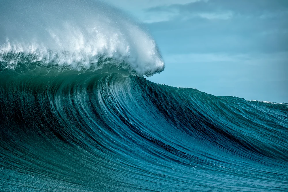 A photograph of a large wave rising on the left-hand side
