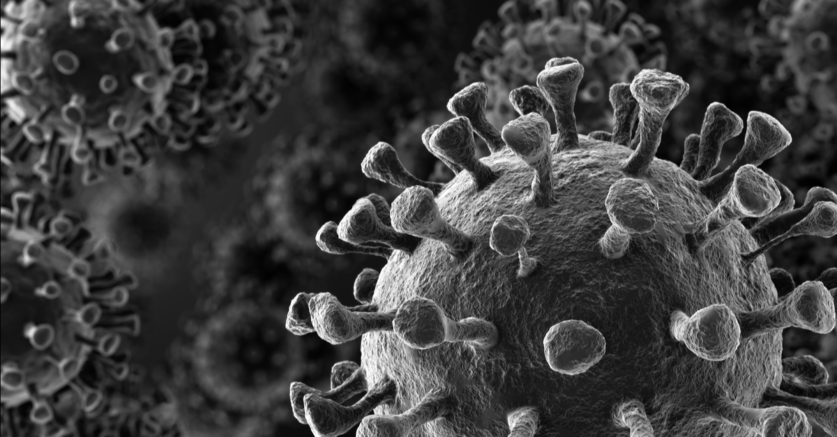 shutterstock_1625951251