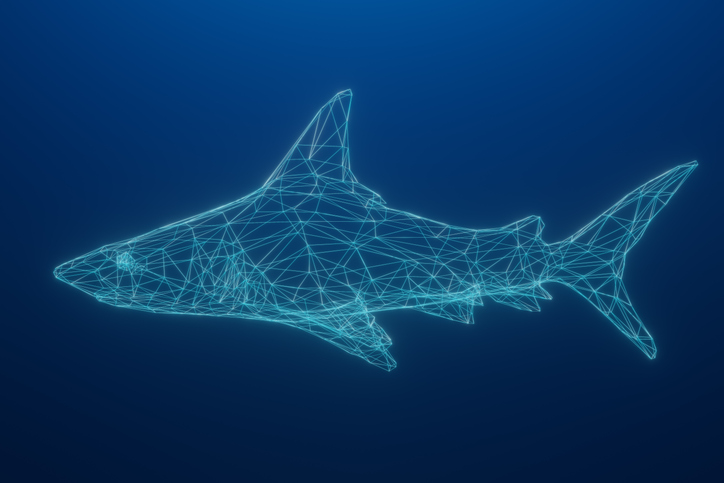Wireshark