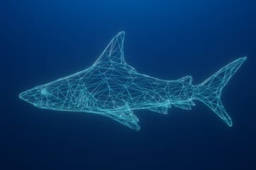 Wireshark Wireshark
