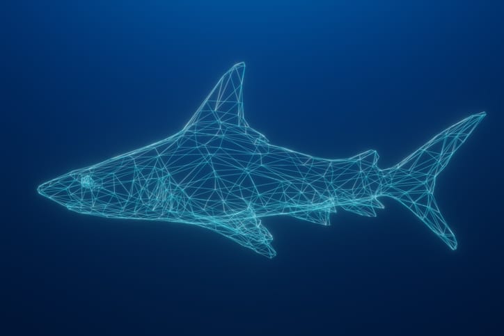 Wireshark Wireshark