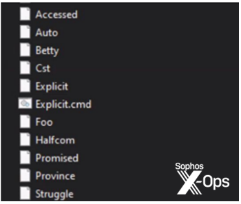 varios archivos descargados