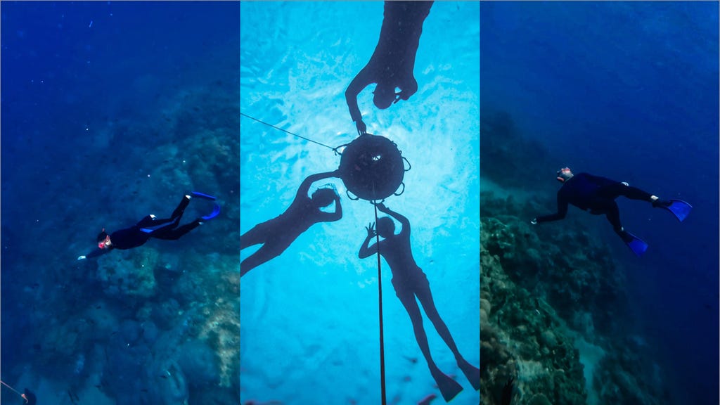 Freediving Freediving