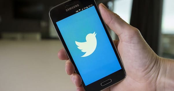 bug twitter bug twitter