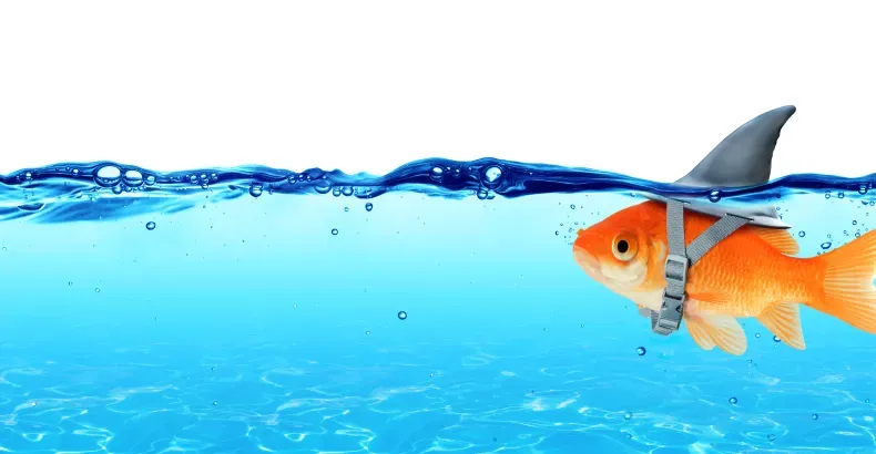 content with media top 1