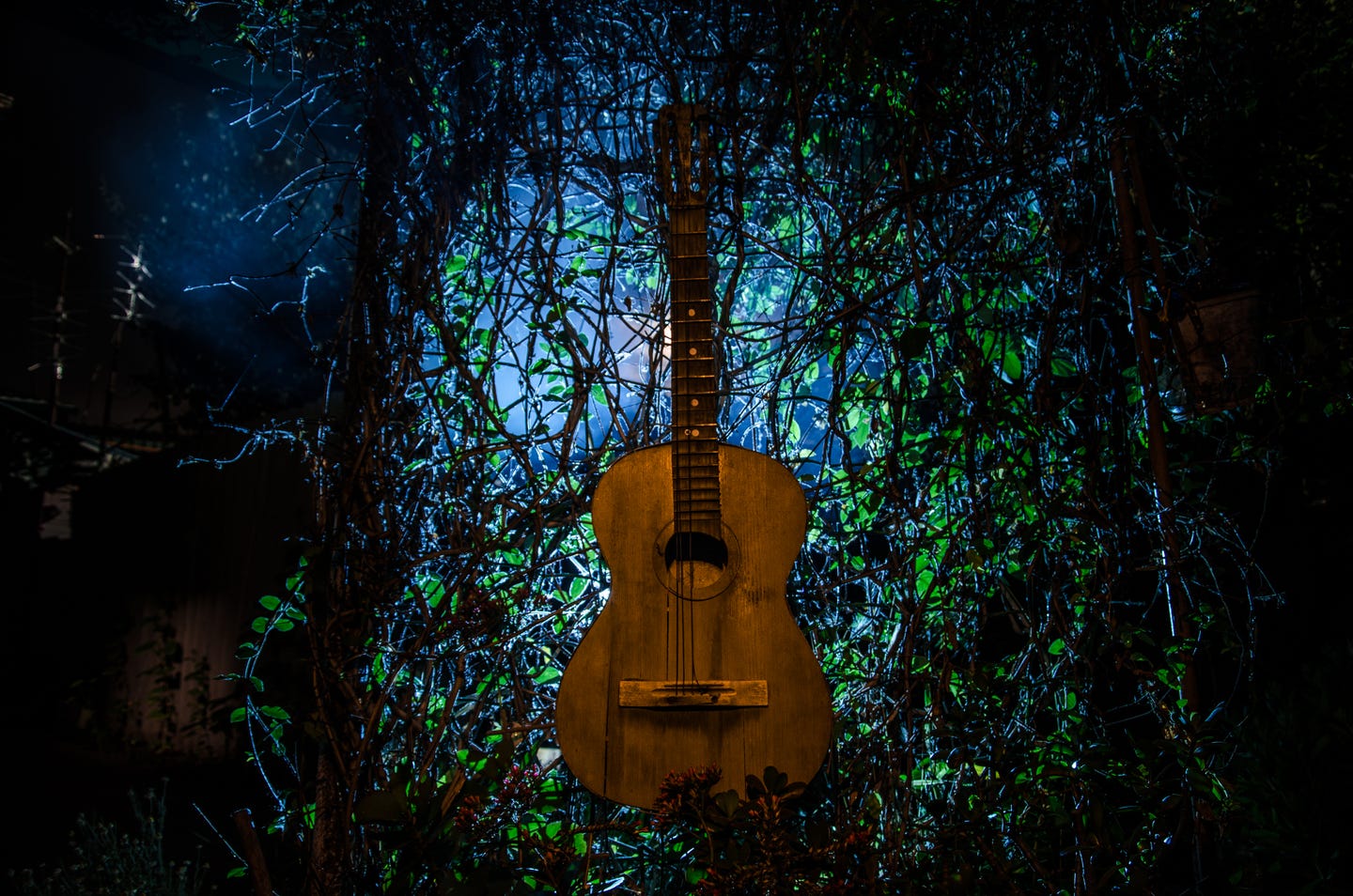 Phishing platform Rockstar 2FA trips, and “FlowerStorm” picks up the pieces - Featured A,Wooden,Acoustic,Guitar,At,Night.,With,Spotlight,For,Your