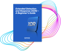 xdr-whitepaper xdr-whitepaper