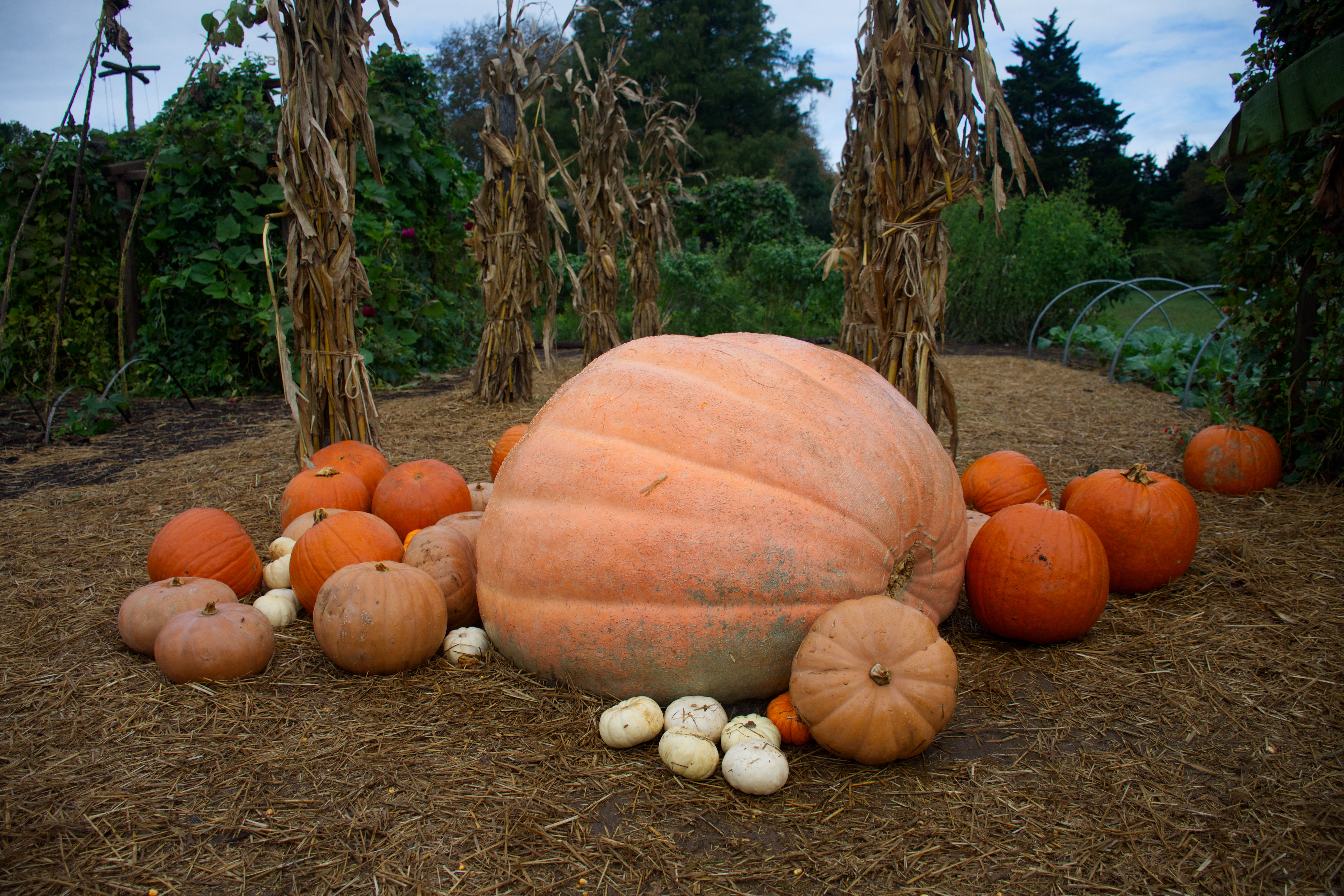 Il Patch Tuesday di ottobre batte il record del gennaio 2025