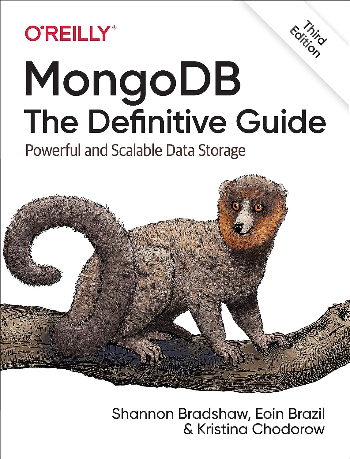 MongoDB: The Definitive Guide: Powerful and Scalable Data Storage thumbnail