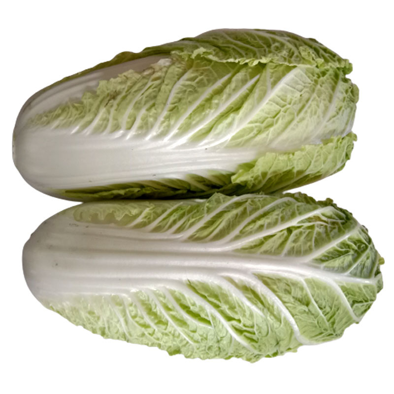 Pecai Jepun  Kubis Jepun  Japanese Cabbage ± 1.50 kg  airasia 