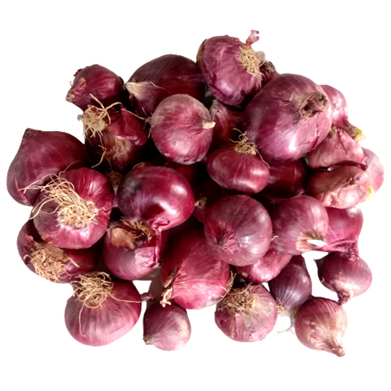 Bawang Merah Stock Photo Picture And Royalty Free Image Image 67826738