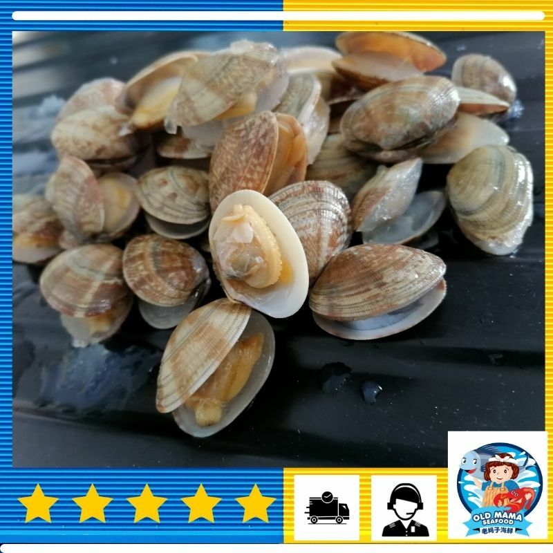 Asari Short Neck Clam 花蛤啦啦 500gm Pk Lala Kepah Fresh Makanan Laut Old Mama Seafood Airasia Grocer