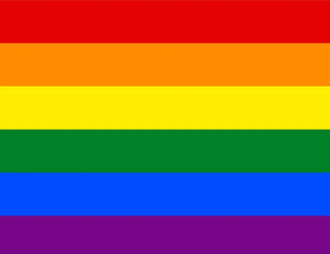 Bandera LGBT+ original