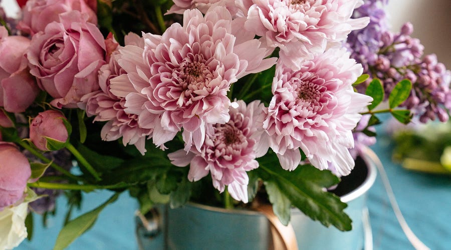 Flores en francés, aprende a nombrarlas todas