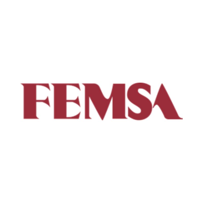 11._Femsa.jpg