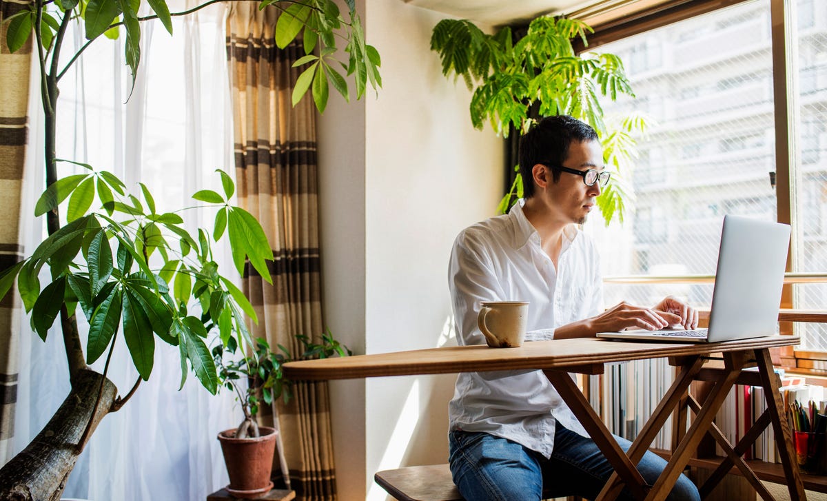 Hombre estudiando el idioma malayo online