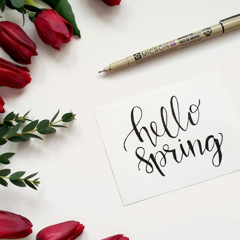 "Hello Spring" en un papel al lado de flores rojas para representar la primavera en inglés.