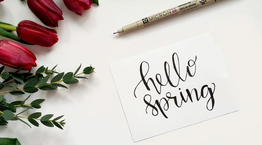 "Hello Spring" en un papel al lado de flores rojas para representar la primavera en inglés.