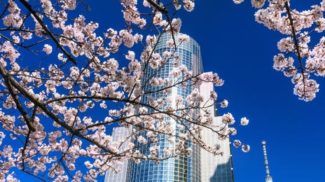 Aprende japonés online