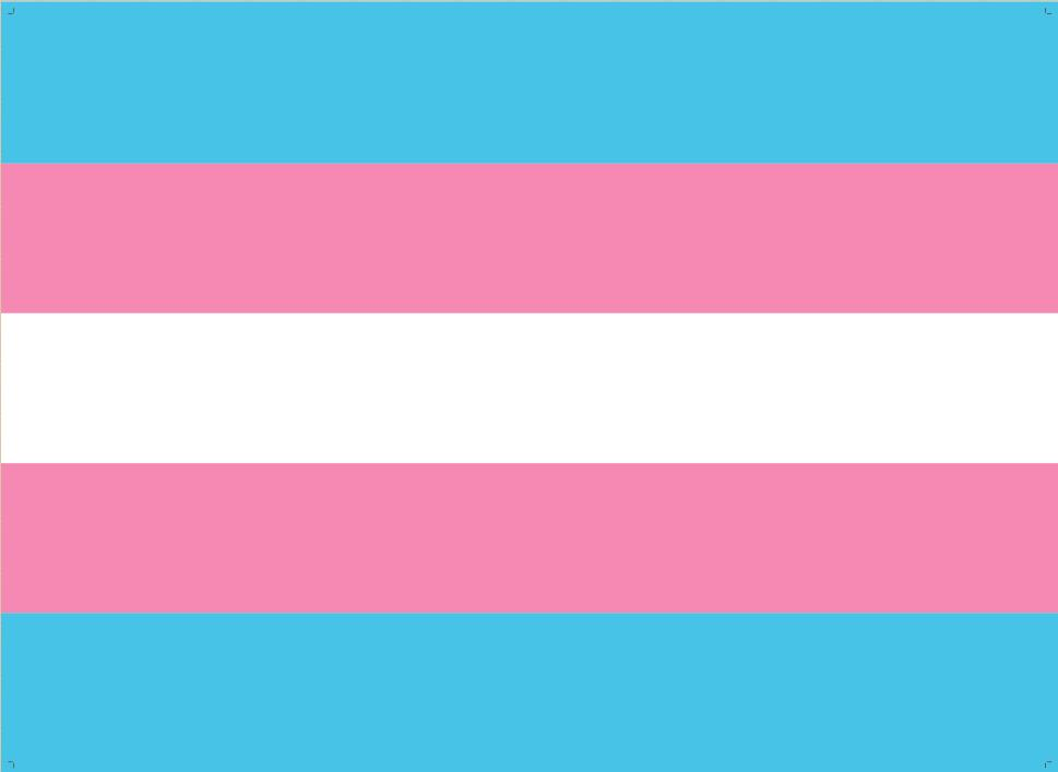 Bandera trans