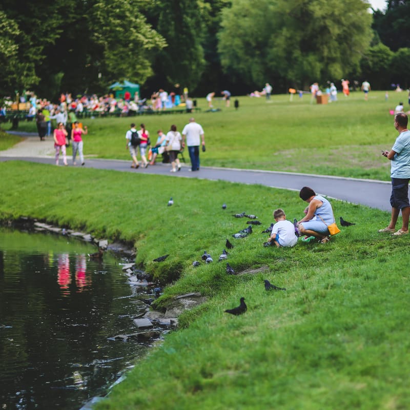 Gente caminando en un parque en inglés.