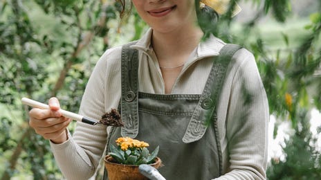 Mujer enseñando nombre de algunas flores en inglés