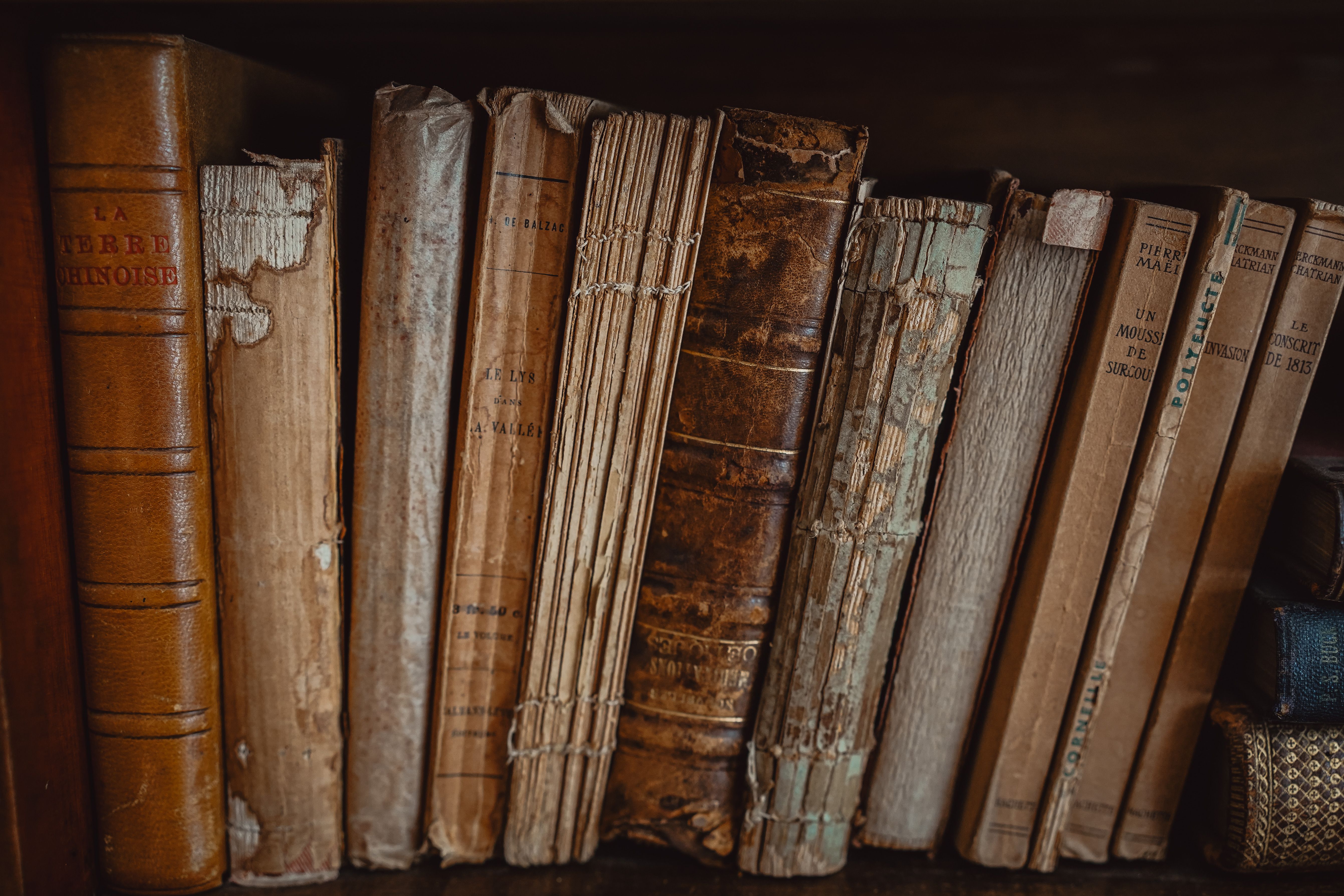 Libros viejos sobre palabras antiguas en diferentes idiomas.