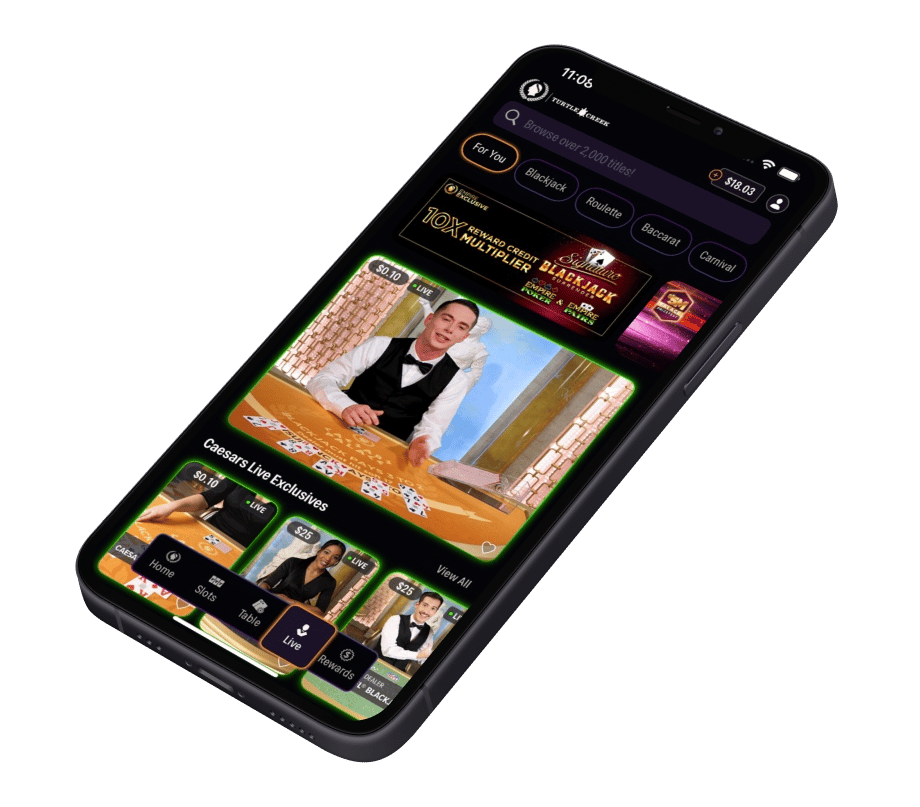 Live Dealer details image