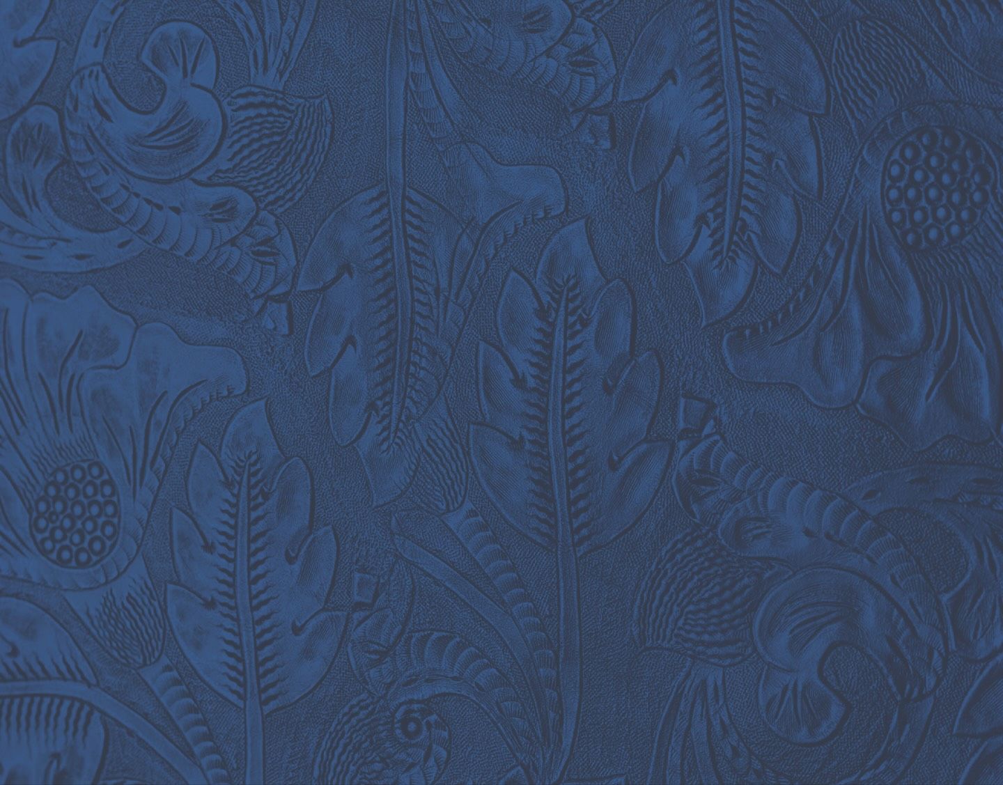 App update background
