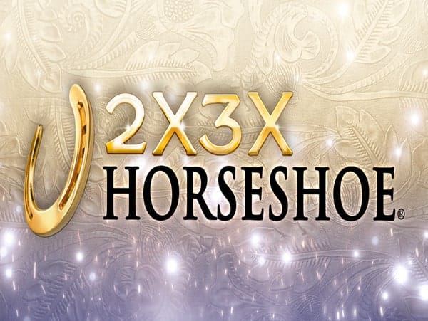 2x3x horseshoe Logo