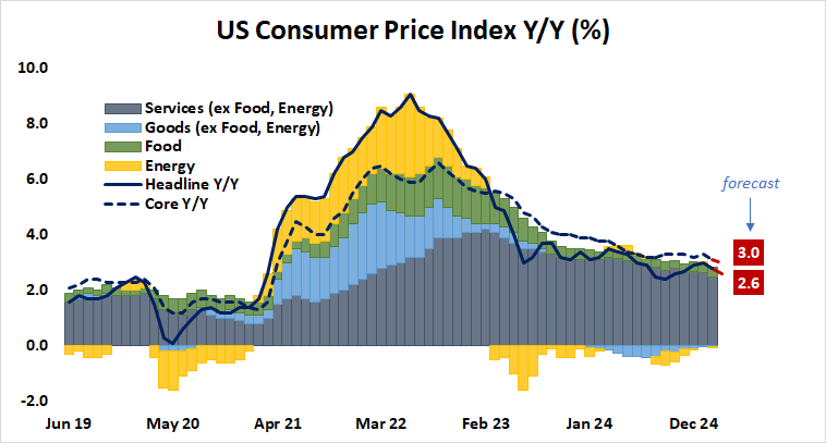 US Consumer Price Index Y:Y (%).png